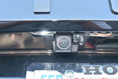 2024 Honda Pilot EX-L 8 Passenger